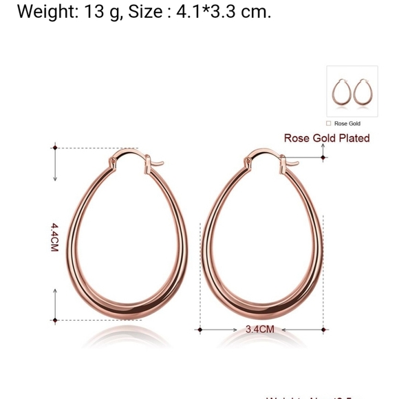 Gold Tone Hoop Earrings - Picture 4 of 4